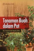 Tanaman Buah Dalam Pot