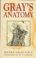 Anatomy descriptive and surgical