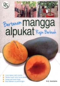 Bertanam Mangga Alpukat Rajin Berbuah