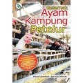 Beternak Ayam Kampung Petelur