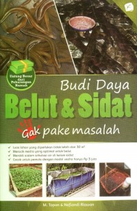 Budi Daya Belut dan Sidat Gak Pake Masalah