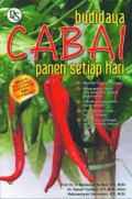 Budidaya Cabai: Panen Setiap Hari