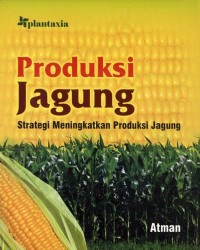Produksi Jagung