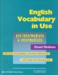 English Vocabulary in Use: Pre-intermediate and Intermediate