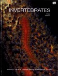 Invertebrates