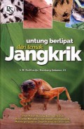 Untung Berlipat dari Ternak Jangkrik