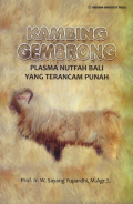Kambing Gembrong Plasma Nutfah Bali yang Terancam Punah