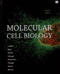 Molecular Cell Biology
