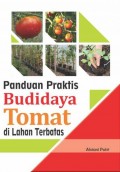 Panduan Praktis Budidaya Tomat di Lahan Terbatas