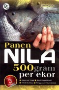 Panen Nila 500 gram Per Ekor