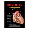 Prometheus Atlas Anatomi Manusia: Organ Dalam