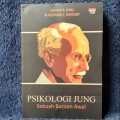 Psikologi Jung: Sebuah Bacaan Awal