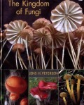 The Kingdom of Fungi