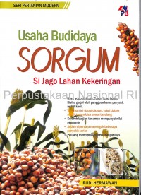 Usaha Budidaya Sorgum si Jago Lahan Kekeringan