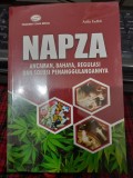 Napza Ancaman, Bahaya, Regulasi dan Solusi Penanggulangannya