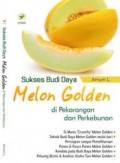 Sukses Budi Daya Melon Golden di Pekarangan dan Perkebunan